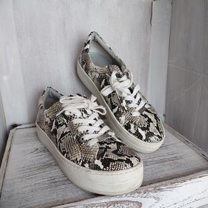 J/Slides Hilton Snakeskin print low top sneakers